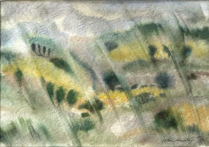 Regenlandschaft